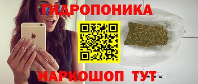прущие грибы Пыть-Ях