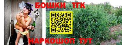 прущие грибы Пыть-Ях