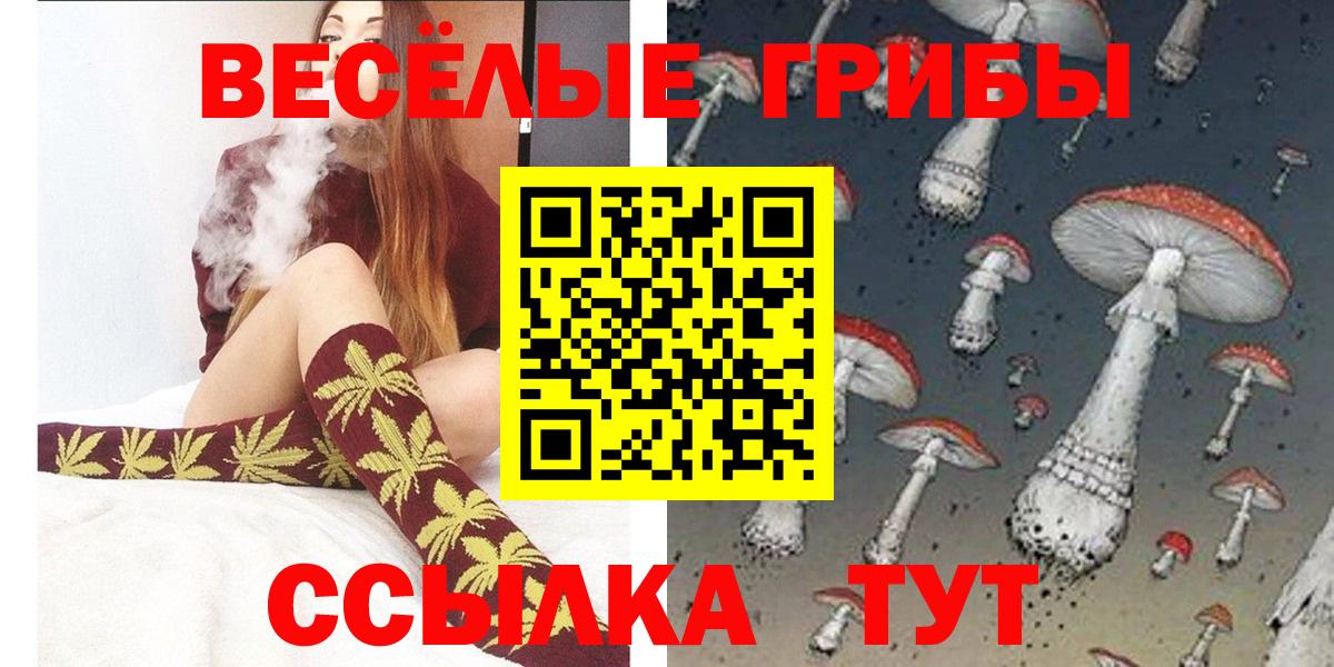 Галлюциногенные грибы Psilocybe  Галлюциногенные грибы прущие грибы  Северобайкальск  купить наркоту  Вход с VPN 