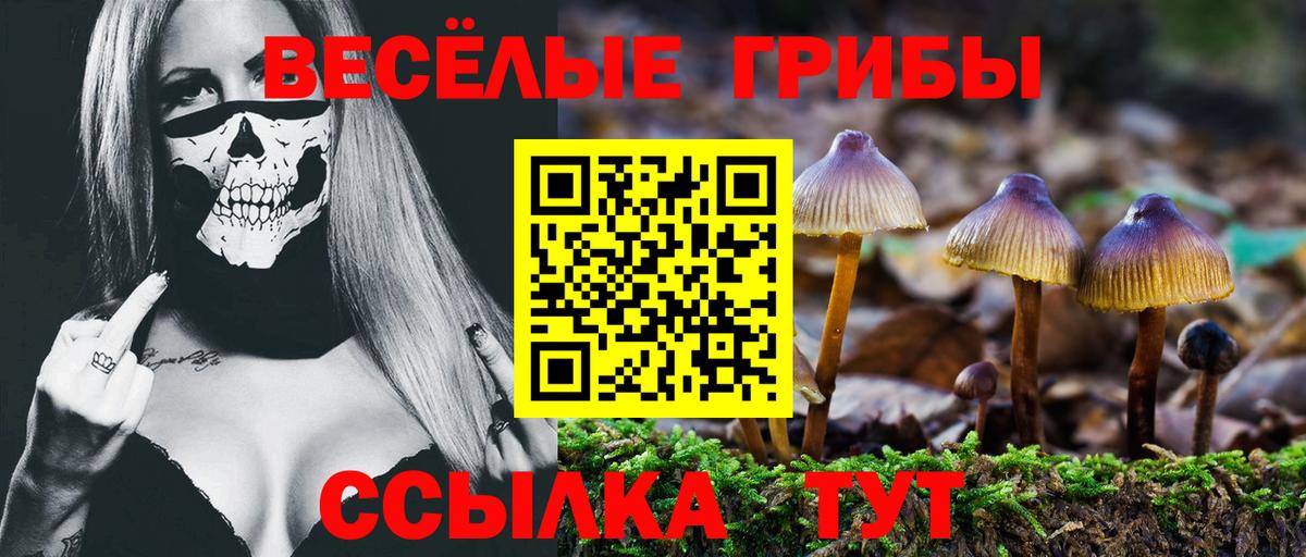 Псилоцибиновые грибы MAGIC MUSHROOMS Северобайкальск